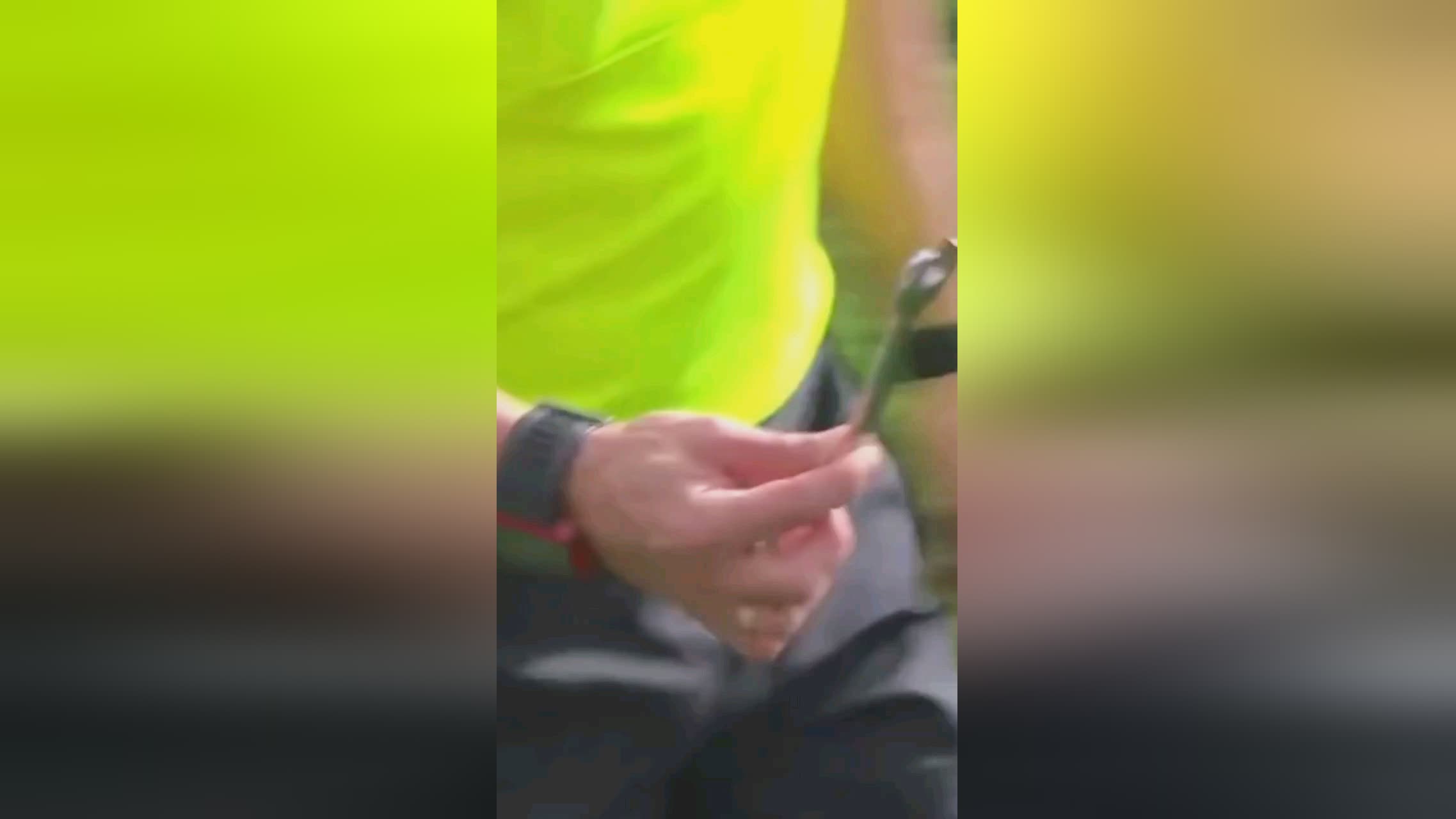凭借出